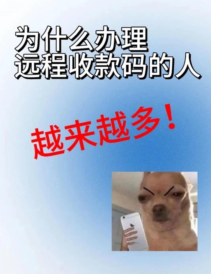 远程收款支付宝微信0.2%费率聚合码