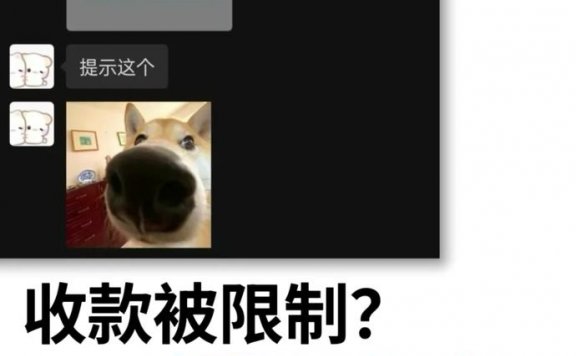 支付宝收款被限制？这5个坑千万别踩！（深度避坑指南）