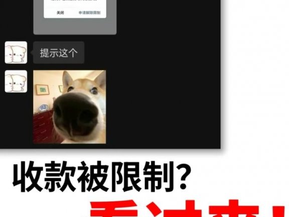 支付宝收款被限制？这5个坑千万别踩！（深度避坑指南）